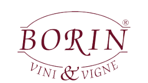 Borin Vini & Vigni